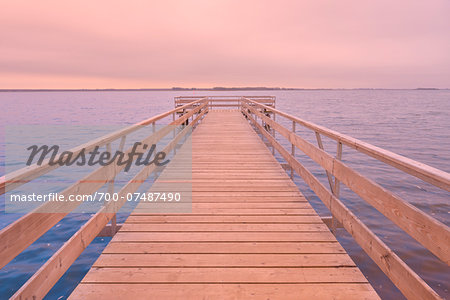 Wooden Jetty, Born auf dem Darss, Barther Bodden, Fischland-Darss-Zingst, Mecklenburg-Vorpommern, Germany