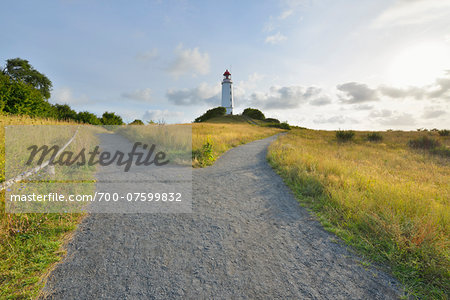 Forked Path to Lighthouse on the Dornbusch in the Morning, Summer, Baltic Island of Hiddensee, Baltic Sea, Western Pomerania, Germany