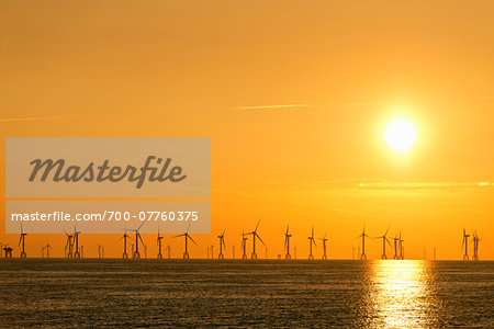 Offshore Wind Farm at Sunset near Barrow in Furness Cumbria