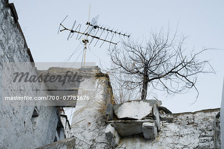 Low angle view of old tv antenna and simular dead tree on rooftop, Greece