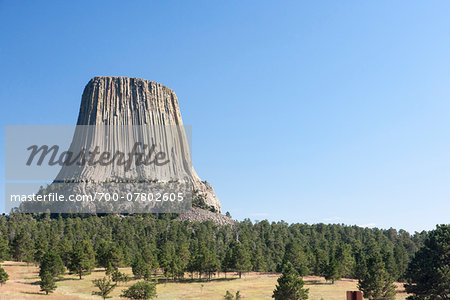 Devils Tower, Bear Lodge Mountains, Crook County, Wyoming, USA