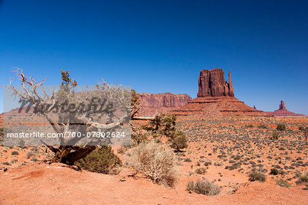 Scenic landscape with Mitten Butte in the background, Monument Valley, Arizona, USA