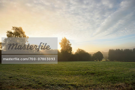 Landscape of the Bavarian Forest on an early morning in autumn, Bavarian Forest National Park, Bavaria, Germany Landscape of the Bavarian Forest on an early morning in autumn, Bavarian Forest National Park, Bavaria, Germany