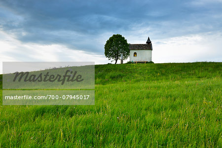 Little Chapel with Tree in Spring, Aidlinger Hohe, Upper Bavaria, Bavaria, Germany Little Chapel with Tree in Spring, Aidlinger Hohe, Upper Bavaria, Bavaria, Germany