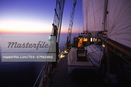 Tree of Life during Calm Passage South along East Coast of USA Tree of Life during Calm Passage South along East Coast of USA