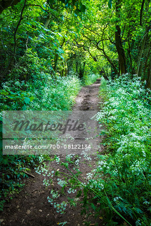 Path through countryside, Lower Slaughter, Gloucestershire, The Cotswolds, England, United Kingdom Path through countryside, Lower Slaughter, Gloucestershire, The Cotswolds, England, United Kingdom