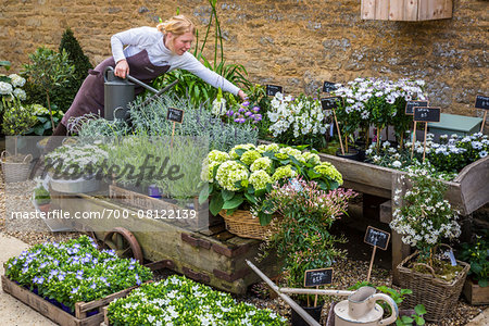 Daylesford Organic Farm, Daylesford, near Kingham, Gloucestershire, The Cotswolds, England, United Kingdom