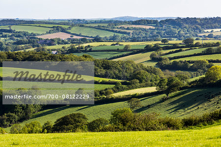 Farmland near Fowey, Cornwall, England, United Kingdom