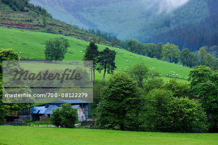 Farmland near Bala, Gwynedd, Wales, United Kingdom Farmland near Bala, Gwynedd, Wales, United Kingdom