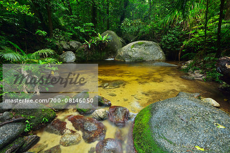 Creek, Daintree Rainforest, Mossman Gorge, Daintree National Park, Queensland, Australia