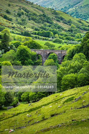 Glendun Viaduct, Ballymena, County Antrim, Northern Ireland, United Kingdom