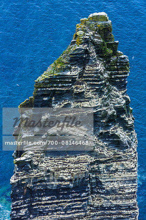 Close-up of rock formation, Cliffs of Moher, County Clare, Ireland