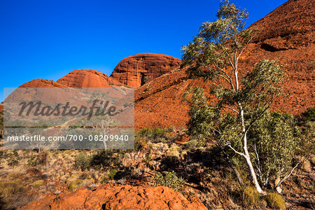 Valley of the Winds, The Olgas (Kata Tjuta), Uluru-Kata Tjuta National Park, Northern Territory, Australia