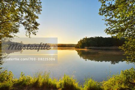 Sunrise on the shoreline with Trees on a Lake, Niedernberg, Miltenberg-District, Churfranken, Franconia, Bavaria, Germany