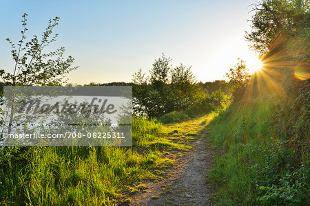 Pathway along shoreline at Sunrise in Spring, Niedernberg, Miltenberg-District, Churfranken, Franconia, Bavaria, Germany