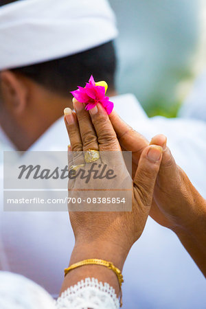 Close-up of Women's hands holding flower and praying at a temple festival, Gianyar, Bali, Indonesia