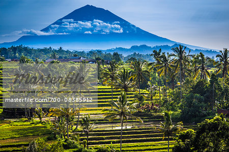 Rice Terraces with Gunung Agung in the background, Jatiluwih, Bali, Indonesia