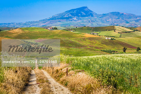 Scenic vista of farmland with vineyards and fields of crops and dirt road near Calatafimi-Segesta in the Province of Trapani in Sicily, Italy