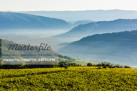 Scenic view of farmland with hazy mountains in the background at Motovun in Istria, Croatia Scenic view of farmland with hazy mountains in the background at Motovun in Istria, Croatia