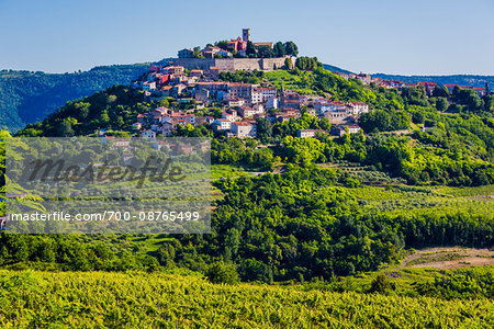 Fertile farmland in front of the medieval, hilltop town of Motovun in Istria, Croatia