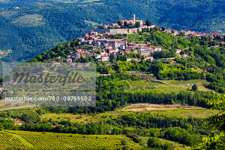 Fertile farmland in front of the medieval, hilltop town of Morovun in Istria, Croatia