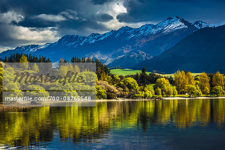 Sunlit trees along the lake shore with moutain range at Glendhu Bay in the Otago Region of New Zealand