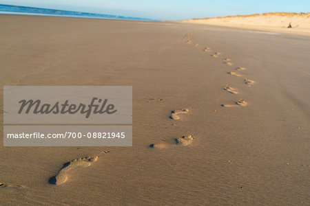 Footprints in the sand on the beach and sand dunes at sunset with the Atlantic Ocean in the background at Royan, France