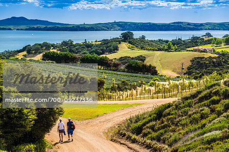 Mudbrick Vineyard, Waiheke Island, North Island, New Zealand.