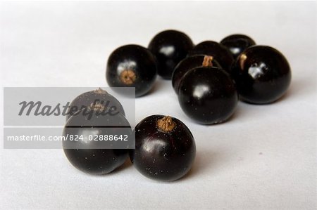Blackcurrants (Ben Connan) Blackcurrants (Ben Connan)