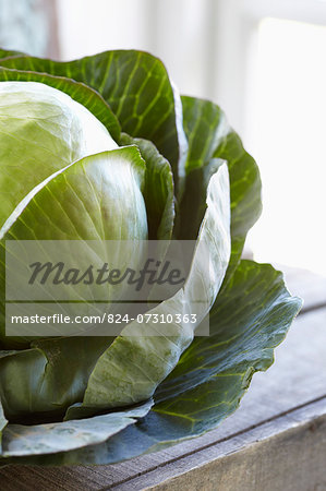 Fresh White Cabbage On Wooden Box