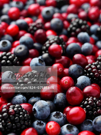 Cranberries blackberries and blueberries entire frame Cranberries blackberries and blueberries entire frame