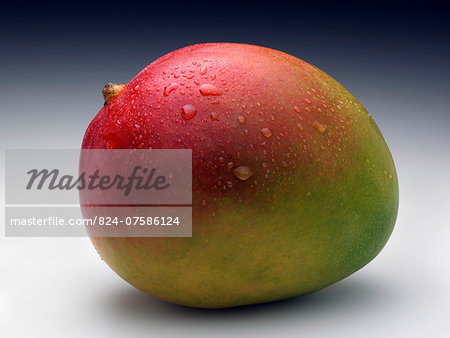 Whole ripe mango