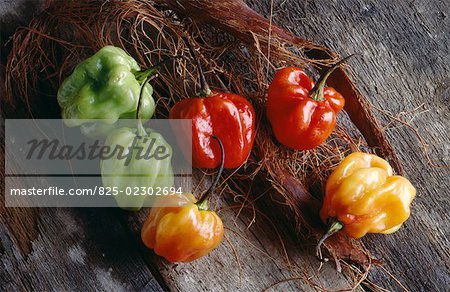 West Indian peppers