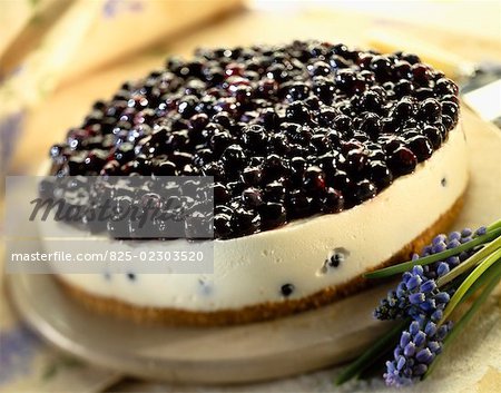 blueberry cheesecake