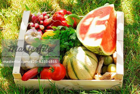 crate of summer fruit and vegetables