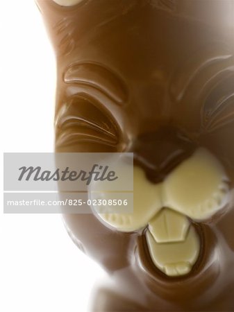 Close-up of a chocolate Easter bunny