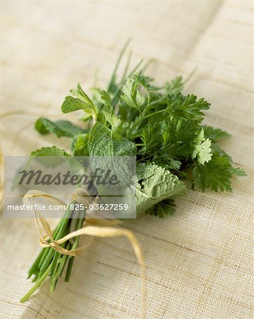 Bunch of mint, coriander and chives