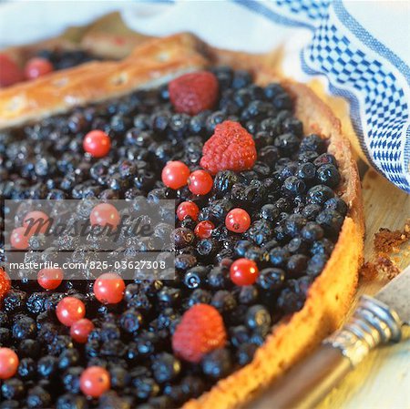 Blueberry tart