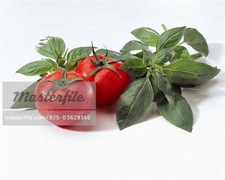 Tomatoes and fresh basil