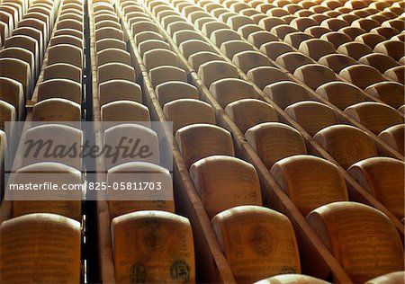 Parmesan cheeses maturing