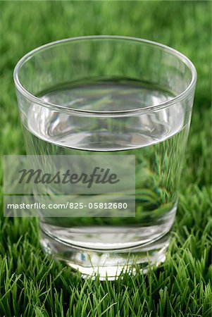 Glass of water on the grass