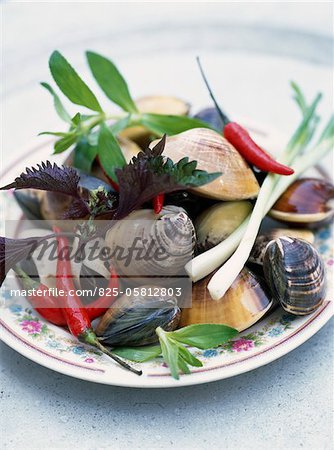 Shellfish and pepper Fricassée