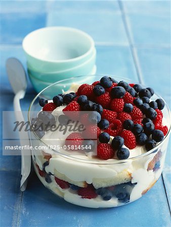 Raspberry and bilberry trifle