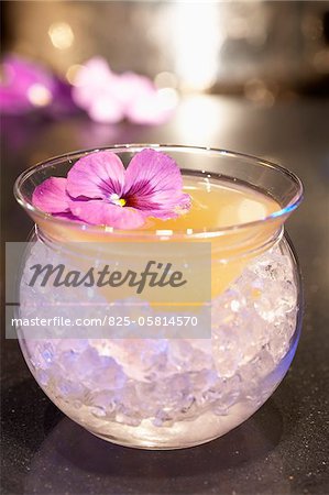 Rum and lime cocktail with a pansy