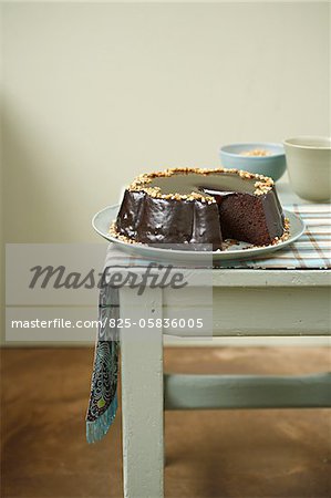 Chocolate cake coated with dark chocolate