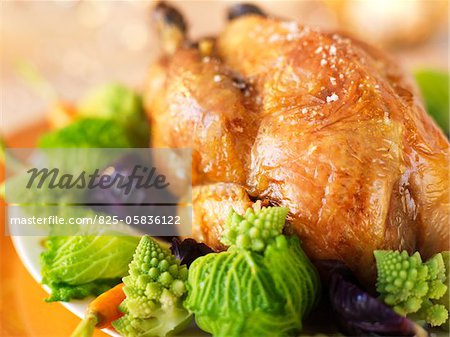 Guinea-fowl capon with cabbage