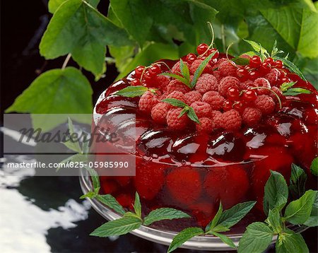 summer fruit in aspic jelly