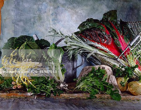 Still life of old-fashioned lettuces and vegetables