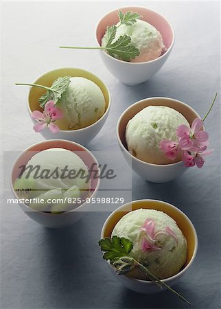 Scoops of flower sorbet