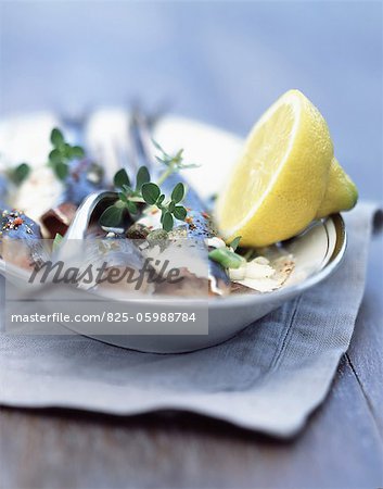 Marinated sardines